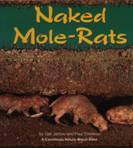 NAKED MOLE-RATS
