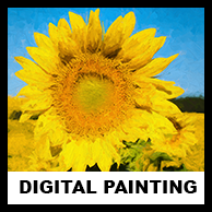 Digital Painting.png