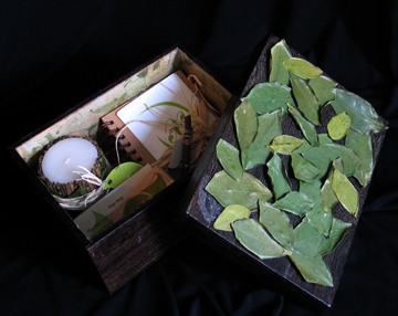 packaging-xanh-openlid.jpg