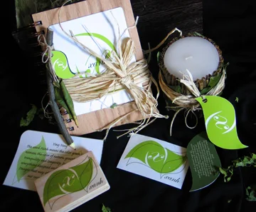 packaging-xanh-set.jpg
