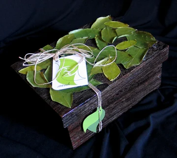 packaging-xanh-wrapped.jpg
