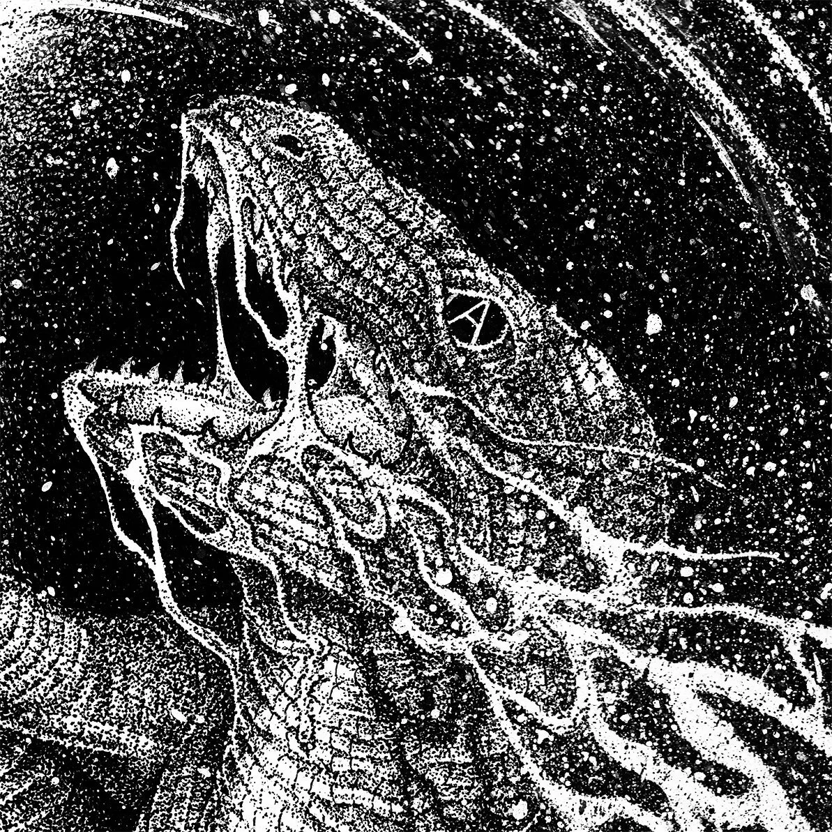 A5D4CD60-F1FA-4D5E-B326-DD51A346DE91