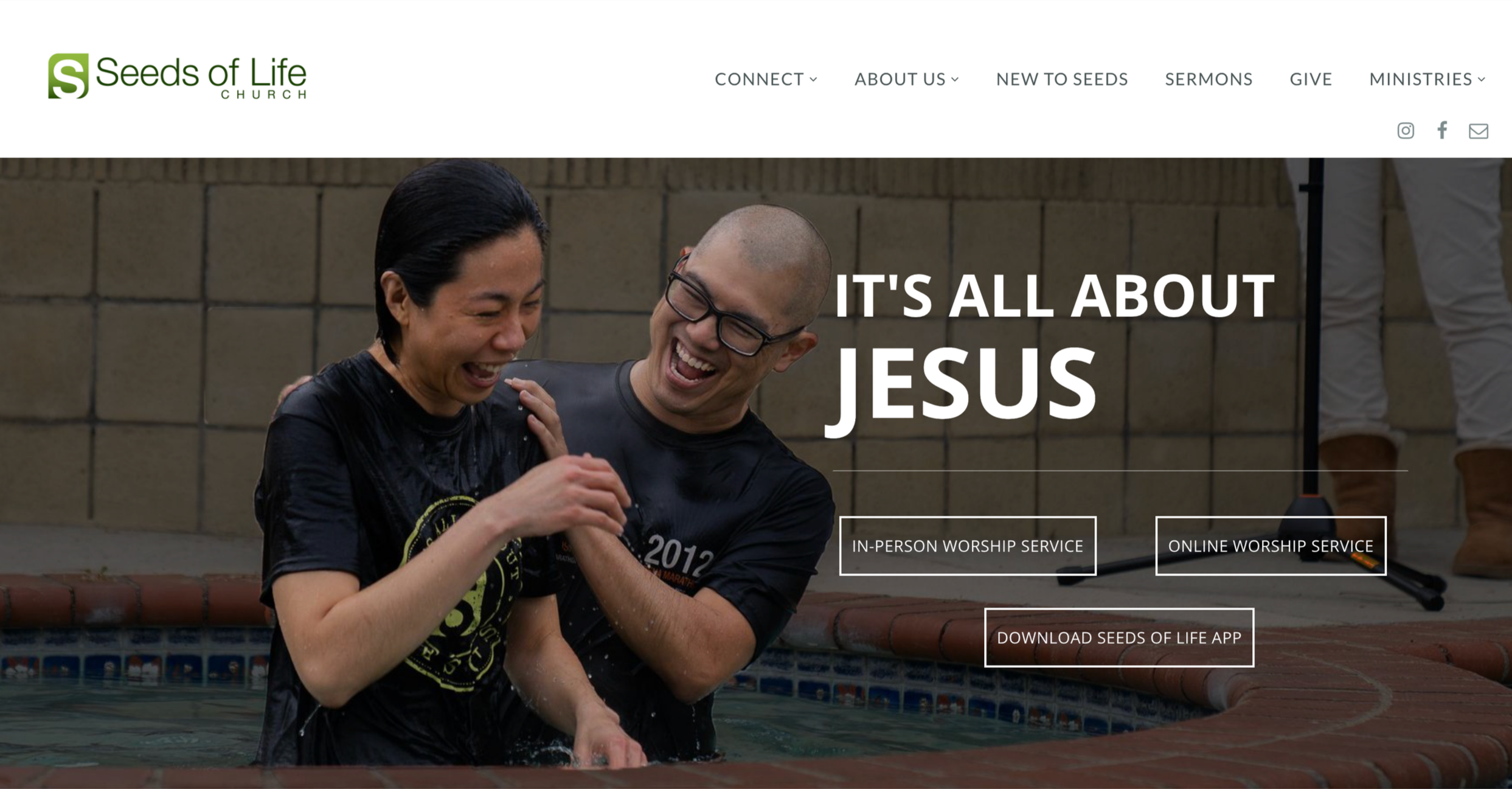 Seeds_Website_Homepage_01.png