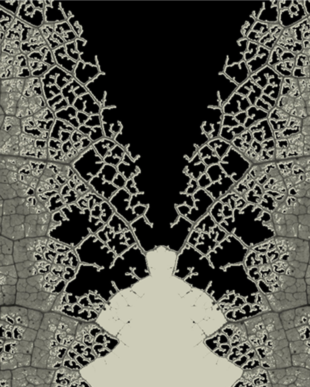 Detail of trama