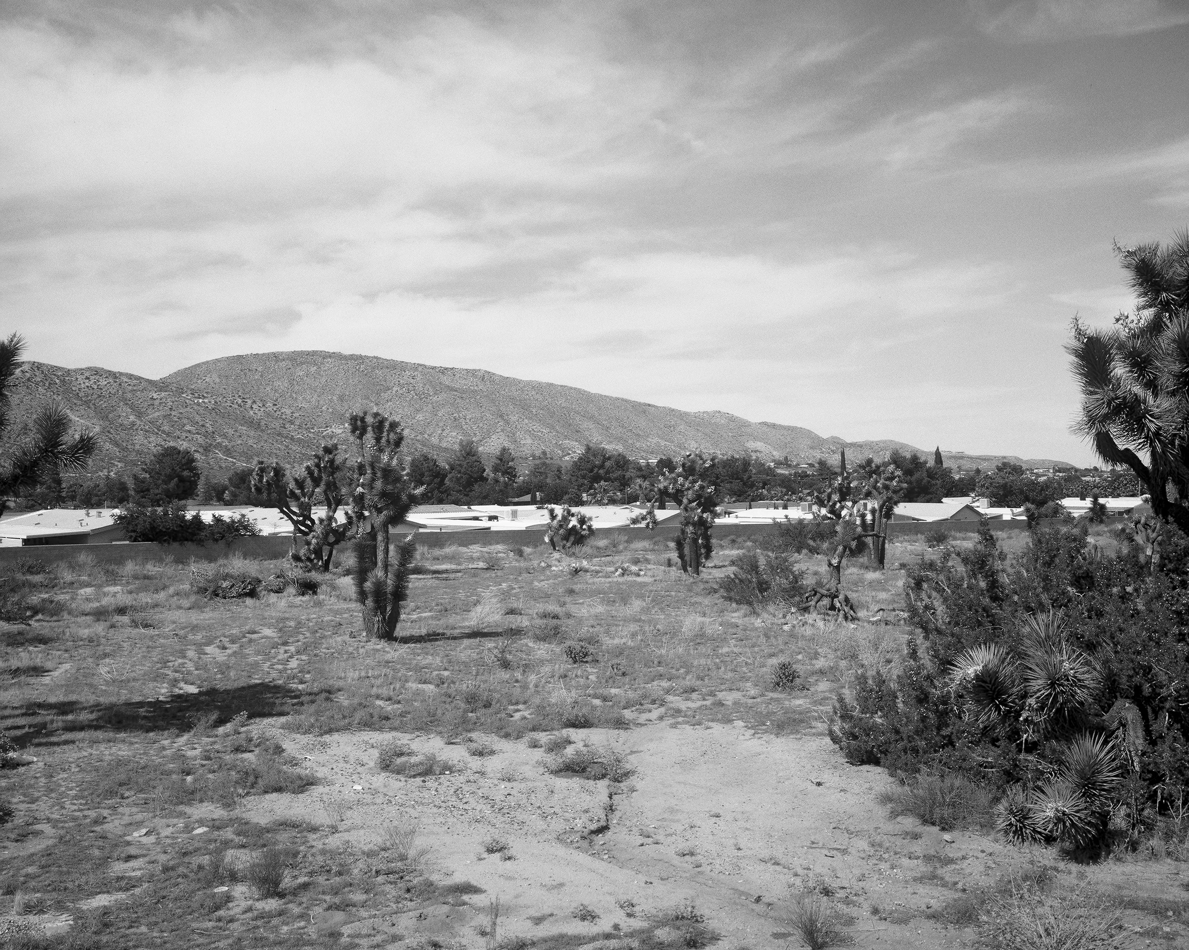 Mobile home park roofline at ground level, CA desert, 2019 - 120 Delta (6x7)