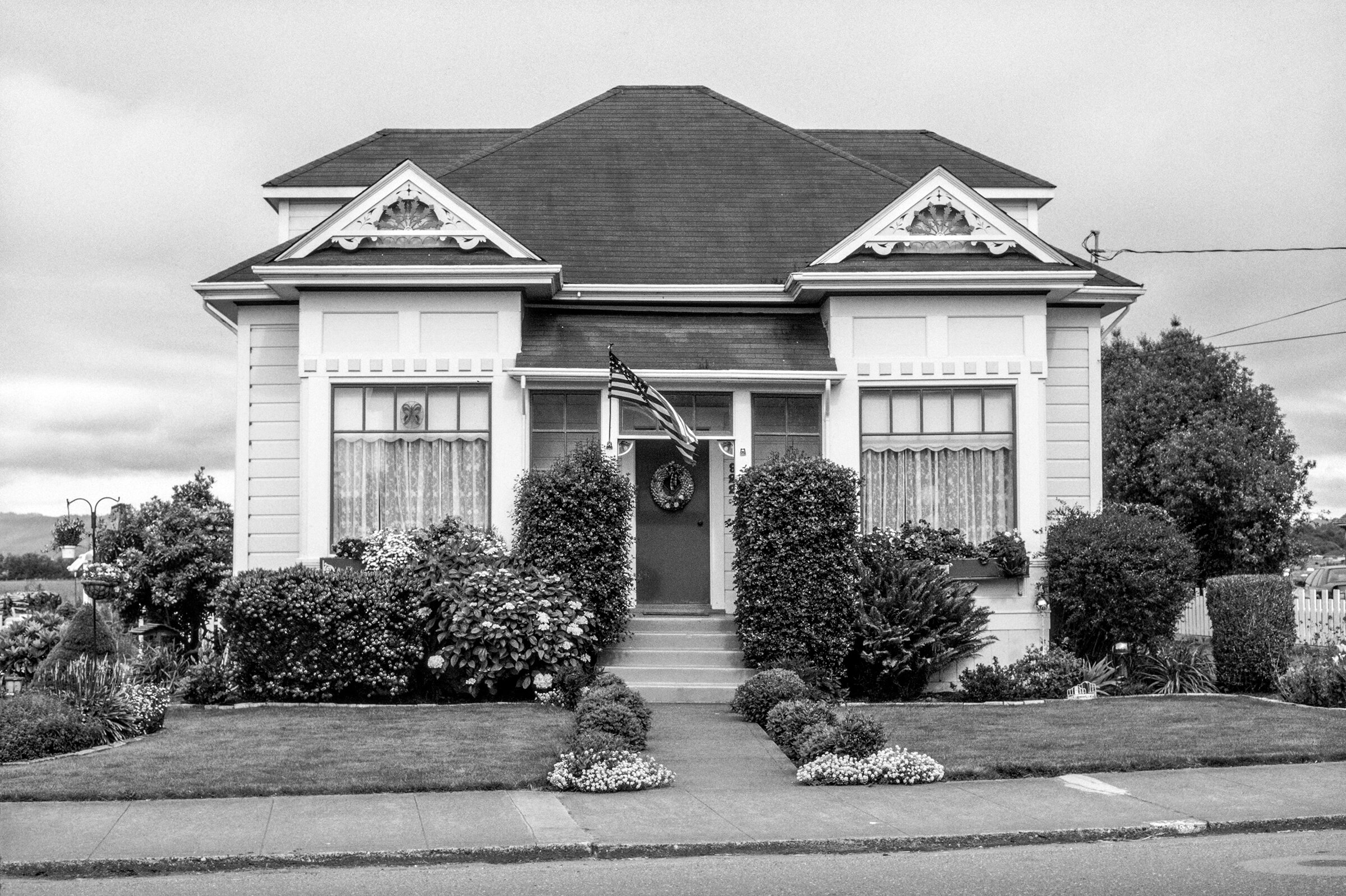 Flock_Photos_-10.JPG