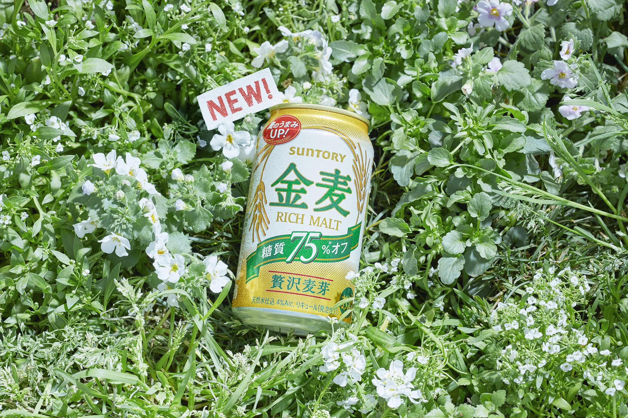 HiguchiKenichi_28_金麦オフ_04.jpg