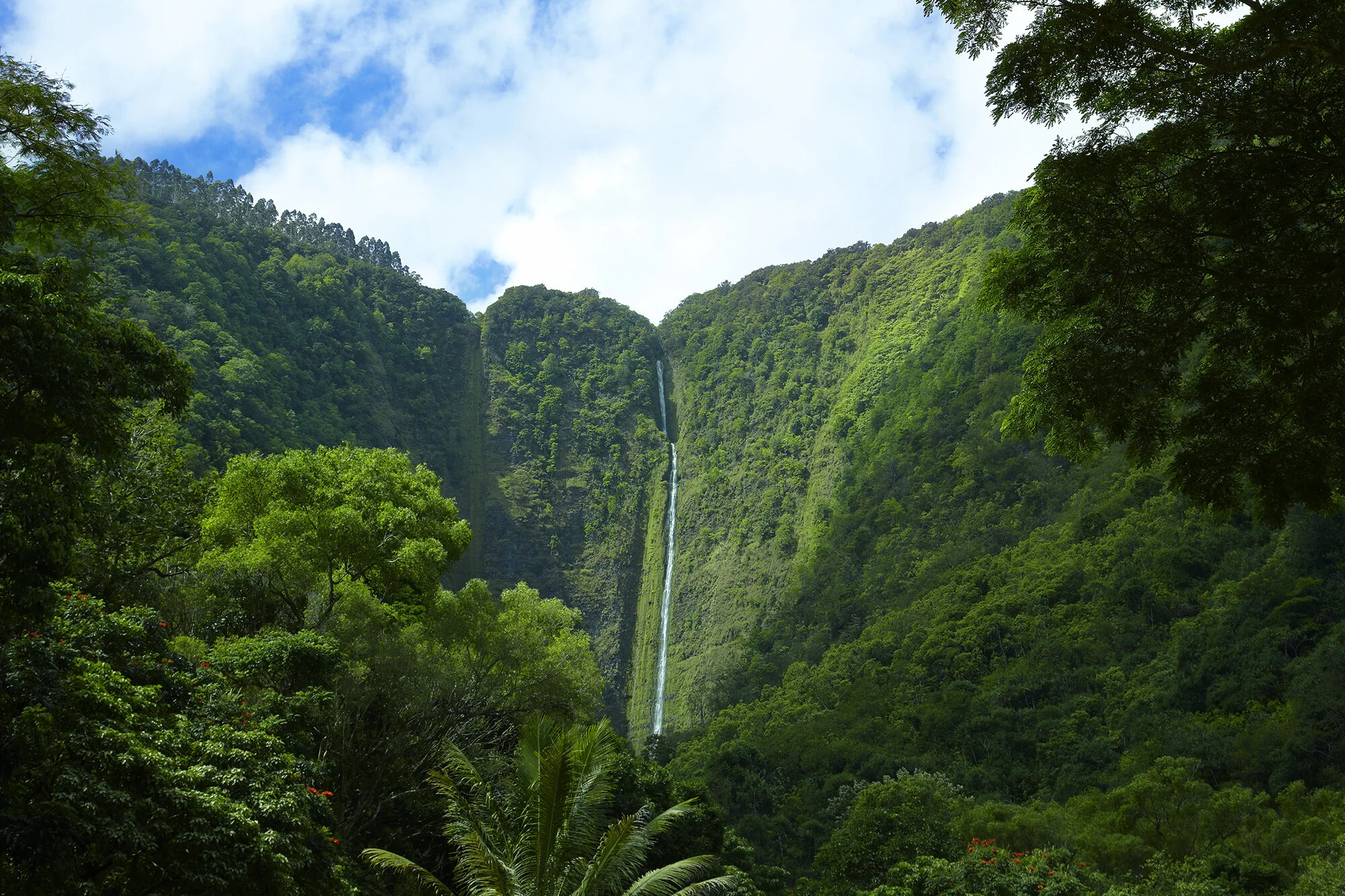 Hawaii03_2000px_72dpi.jpg