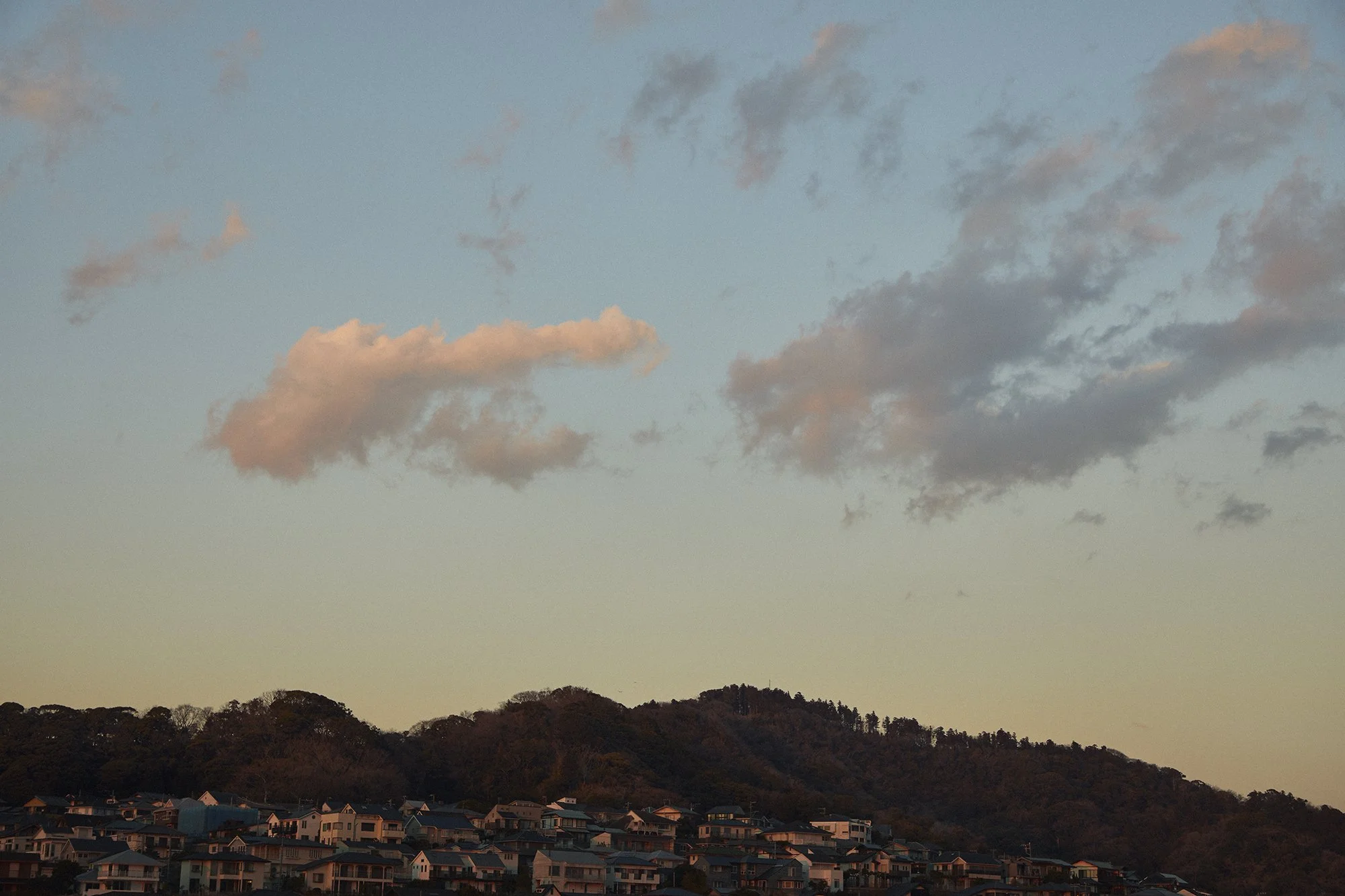 220222_04_HiguchiKenichi_CCC_09.jpg
