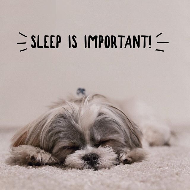Sleep is important! With a good night&rsquo;s rest, we are much more likely to make better food choices, be smarter at work and be a nicer person. Ever snap at someone because you didn&rsquo;t get a good night&rsquo;s rest? Yep, I&rsquo;ve been there