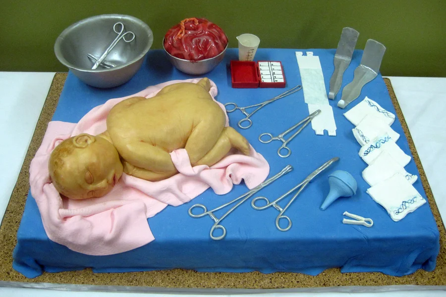 OBGYN.sculpted.baby.cake.placenta.Detroit.Sweet.Heather.Anne.Cake.jpg