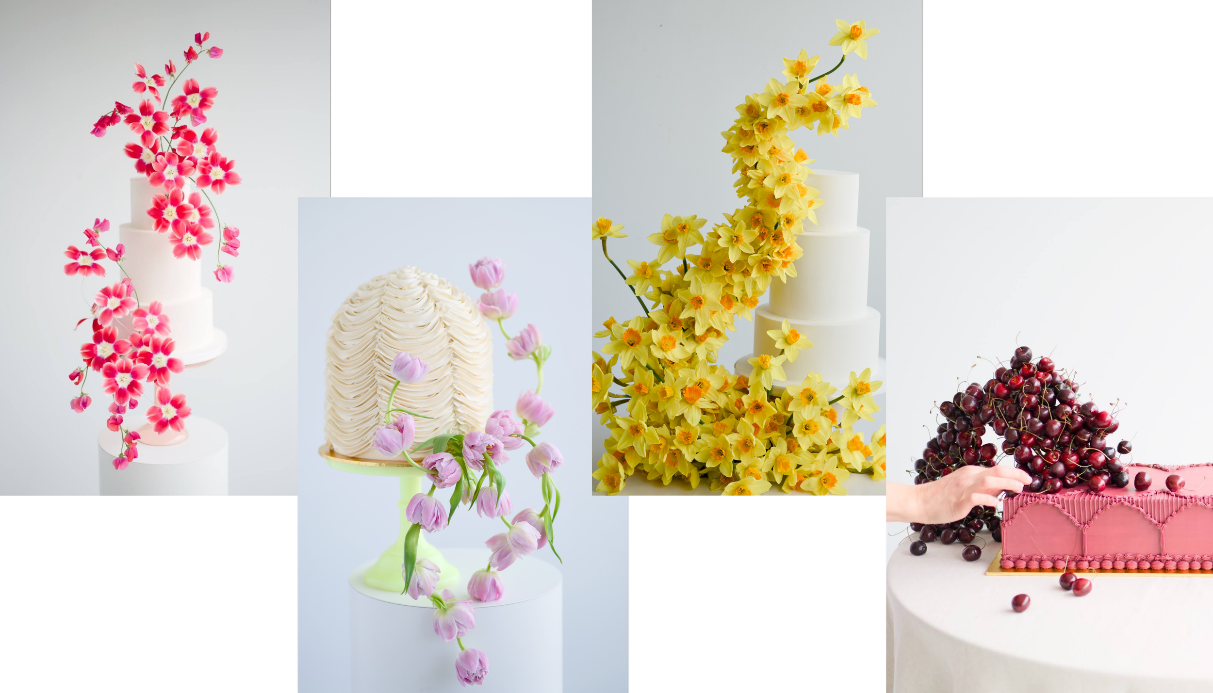 Four Modern Cake Flower Designs (Collage format) by Susan McLeary and Heather Leavitt