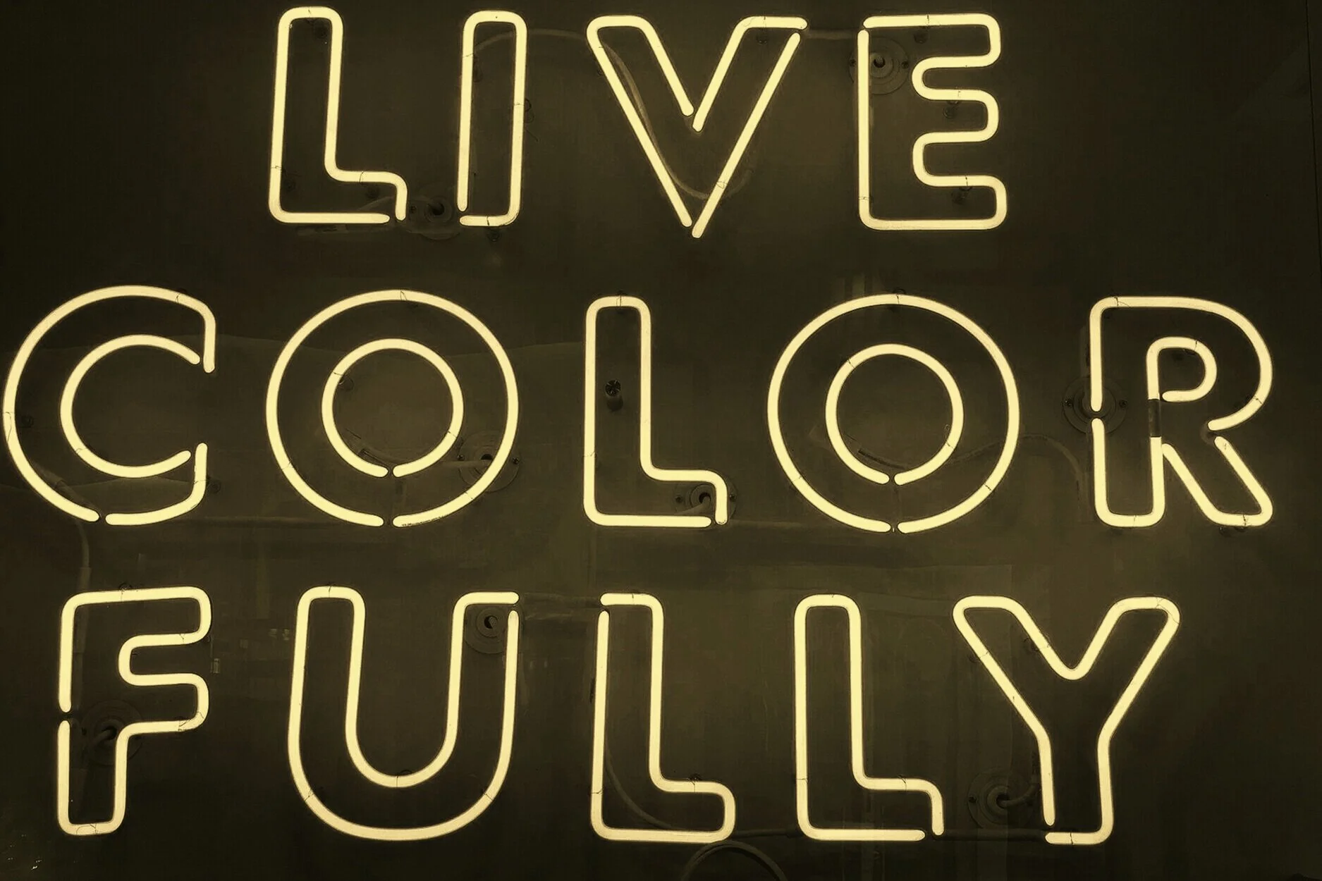 How to Analyze a Brand