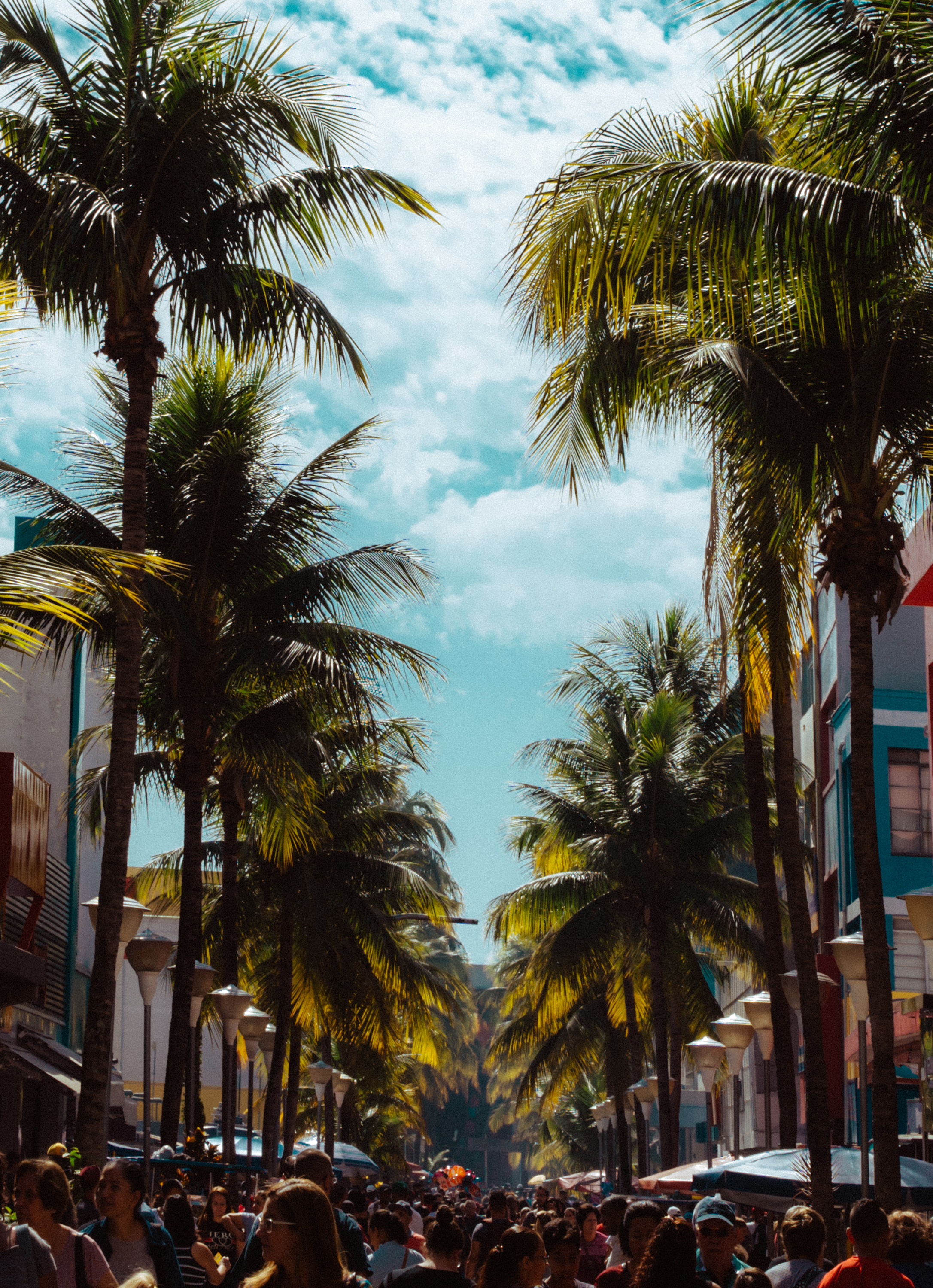 Palm Beach Shopping Guide: Worth Avenue