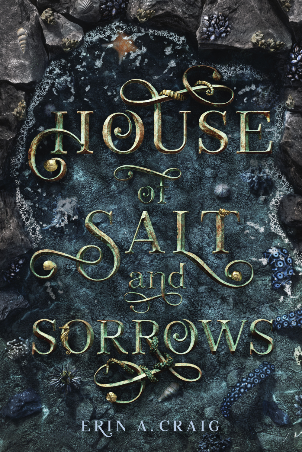house-of-salt-and-sorrows-by-erin-a-craig.jpg