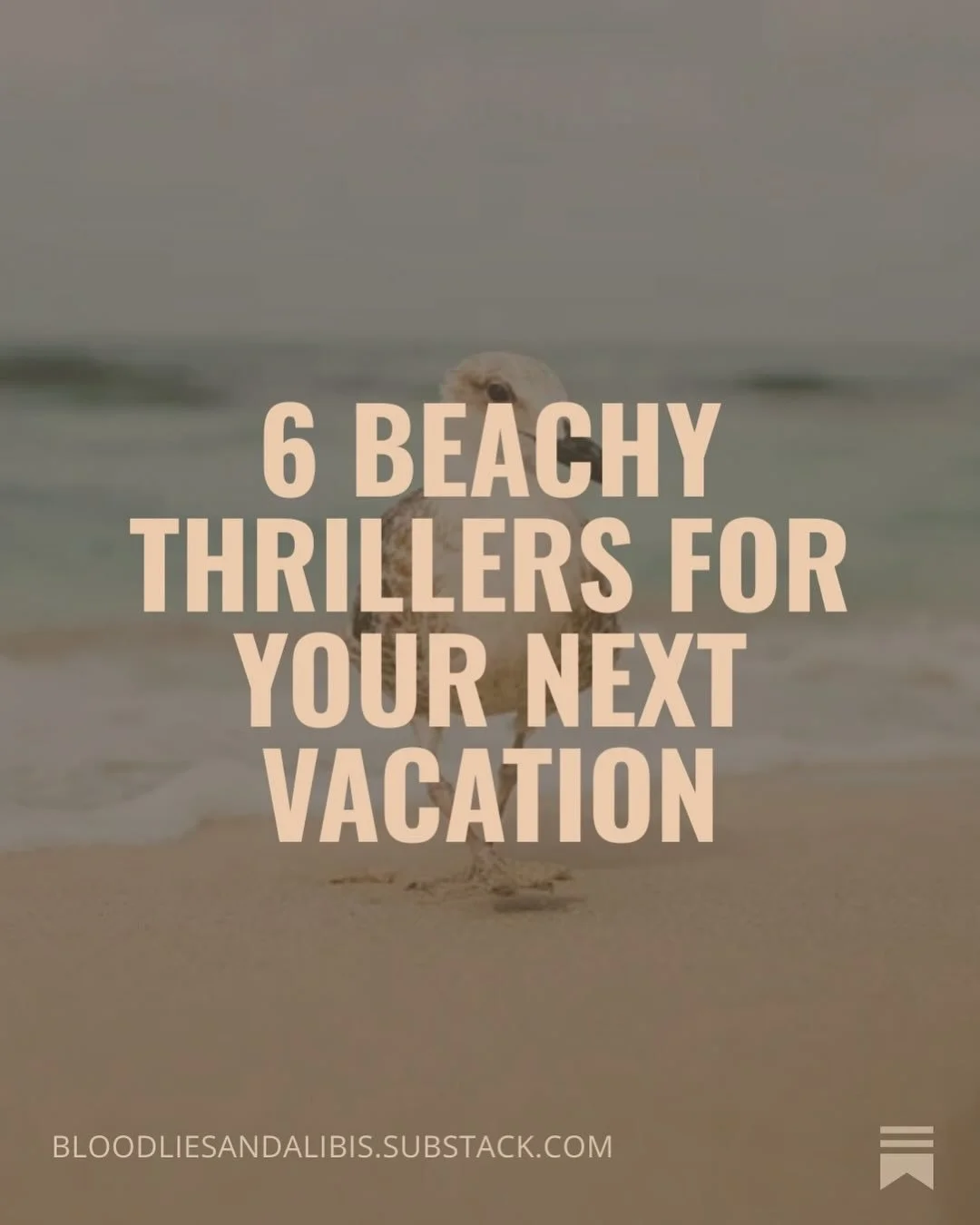 Bury your toes in the sand or bury the (fictional) dead?

Either one sounds good to me! 😌

#thriller #thrillerbooks #bookstagrammer #bookish