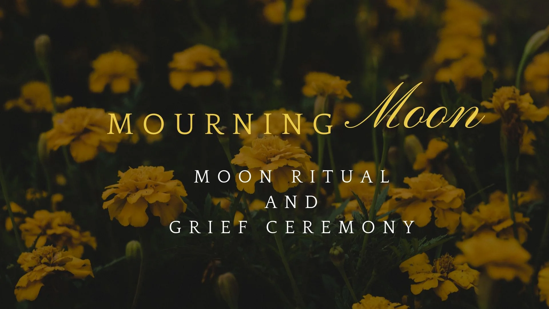 Mourning Moon and Grief Ceremony 