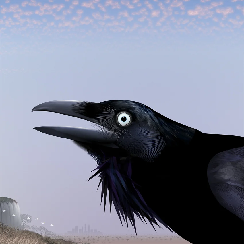 You Yangs Crow
