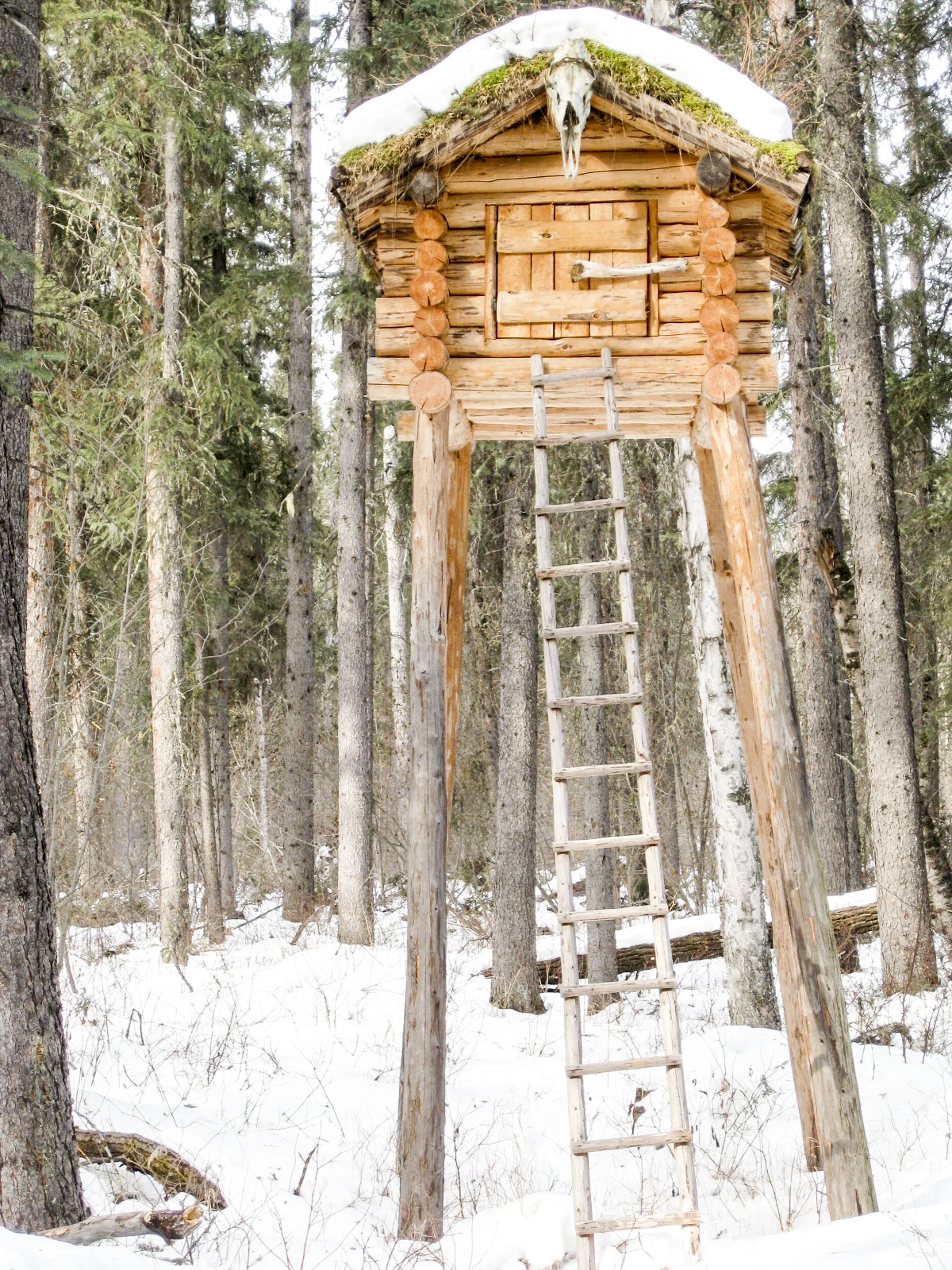 Wilderness Cabin 02.jpg