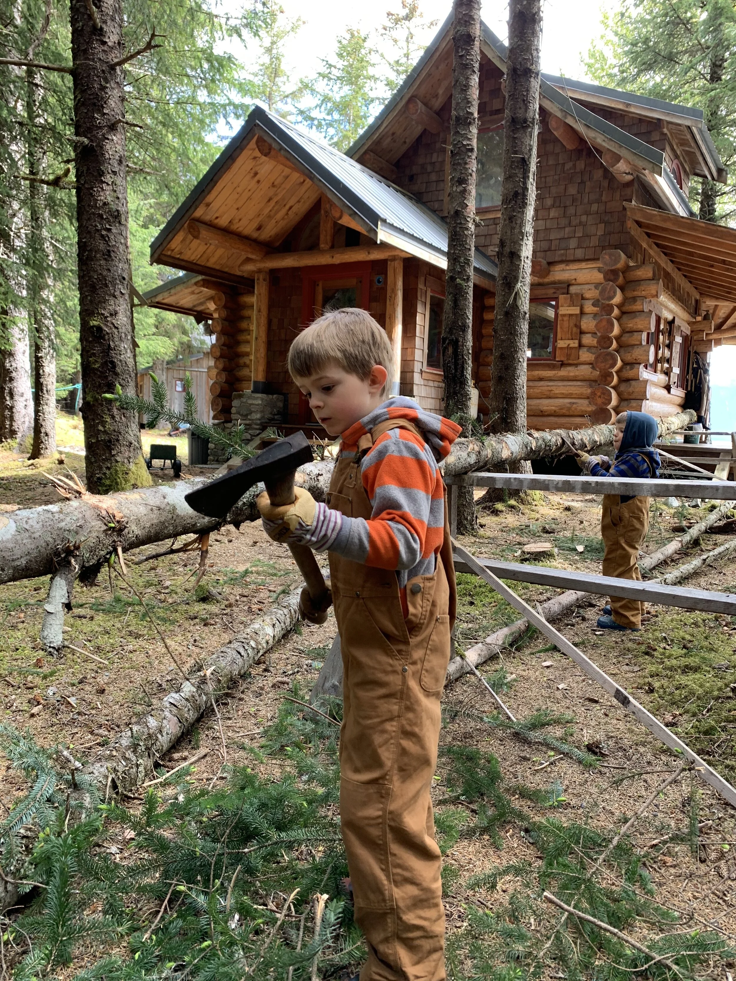 Haines Cabin.jpg