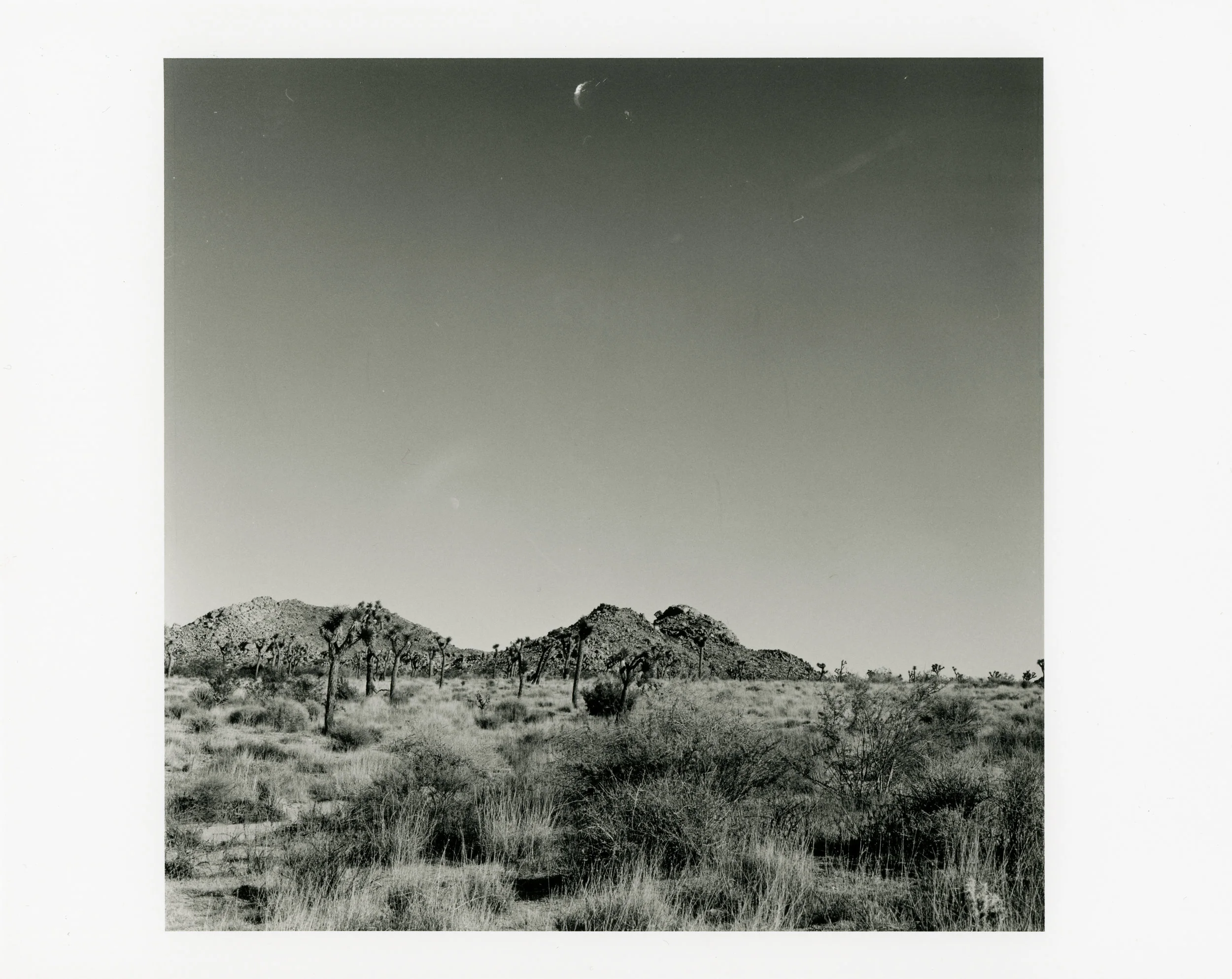 portfolio007.jpg