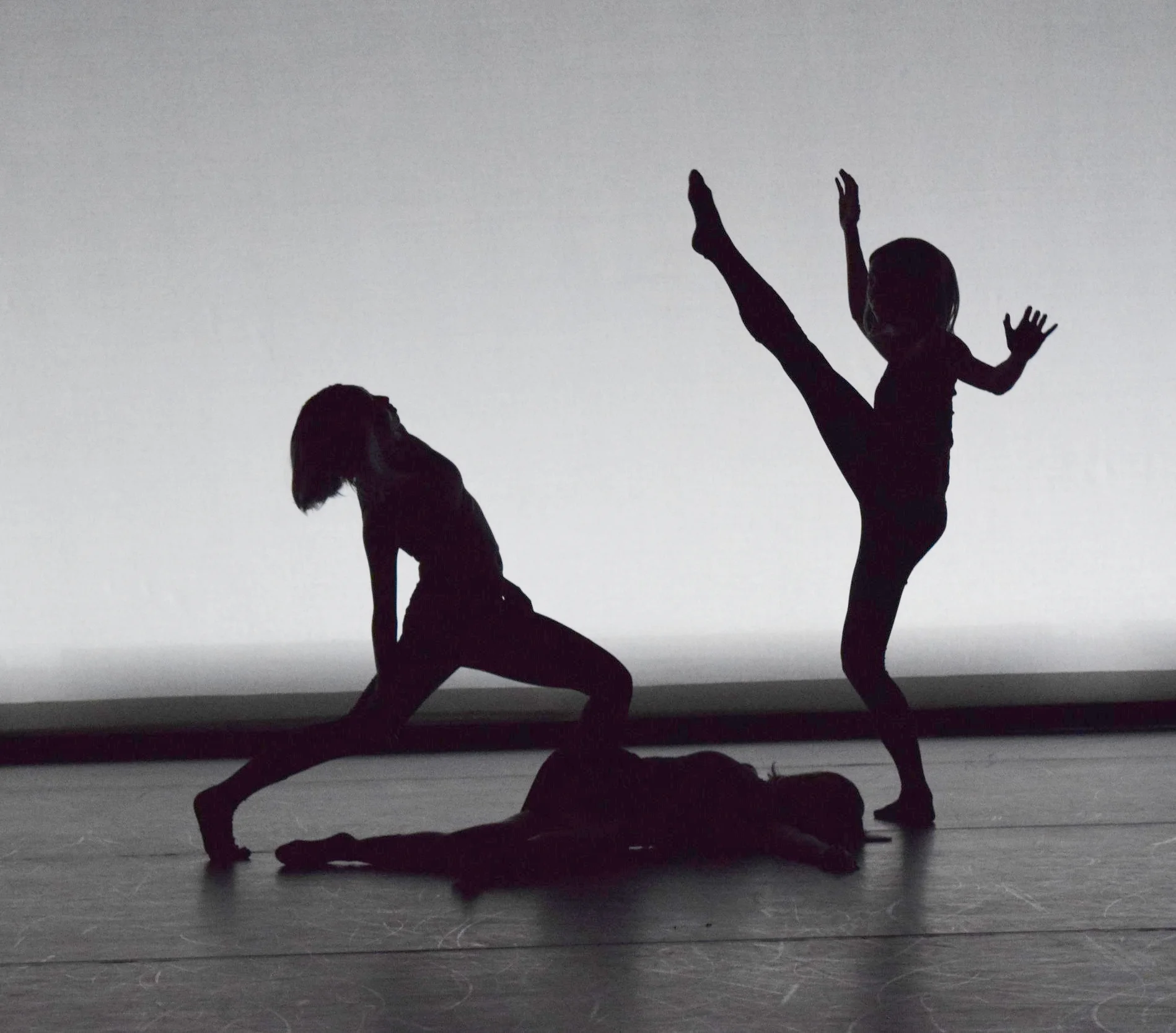  Photography by Haleigh Dalke   Underneath the Floorboards (2017) &nbsp;was choreographed for the Second Avenue Dance Company’s third show of the 2016/2017 season. Inspired by Edgar Allan Poe’s eerie short story,  The Tell Tale Heart , the piece is d