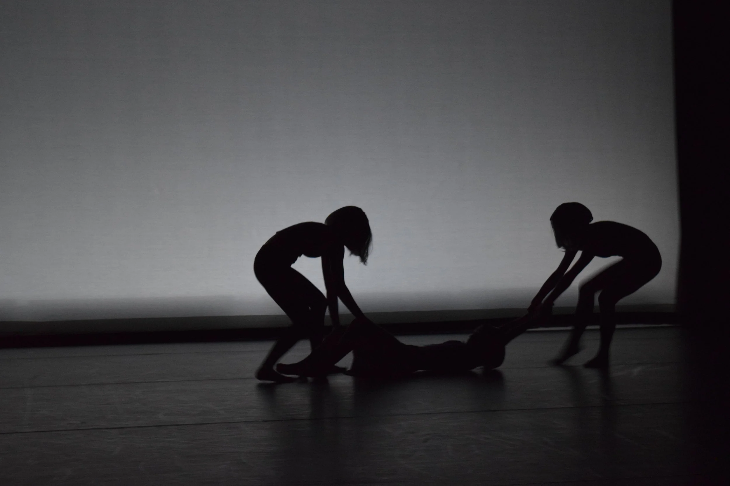  Photography by Haleigh Dalke 