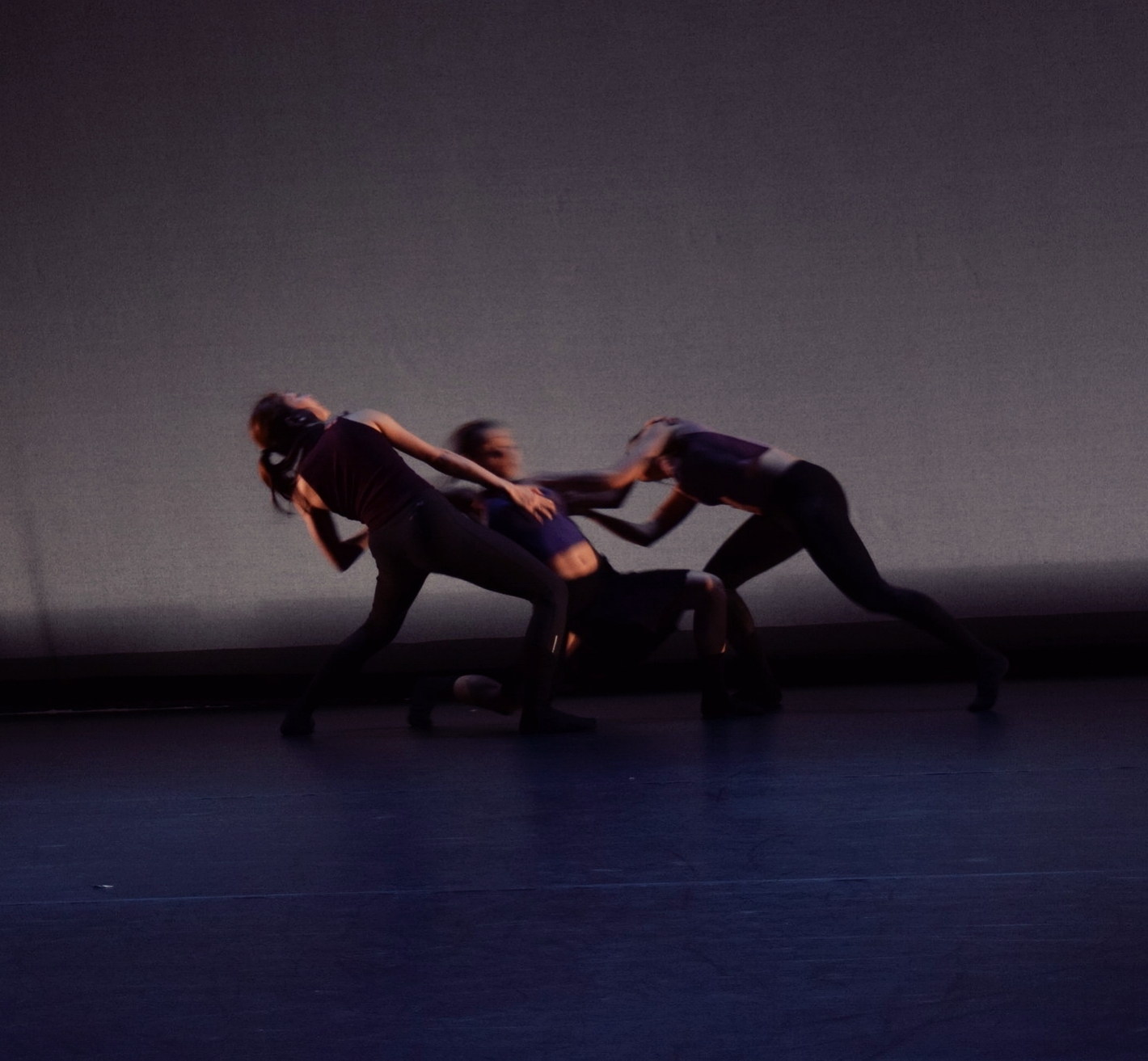  Photography by Haleigh Dalke 