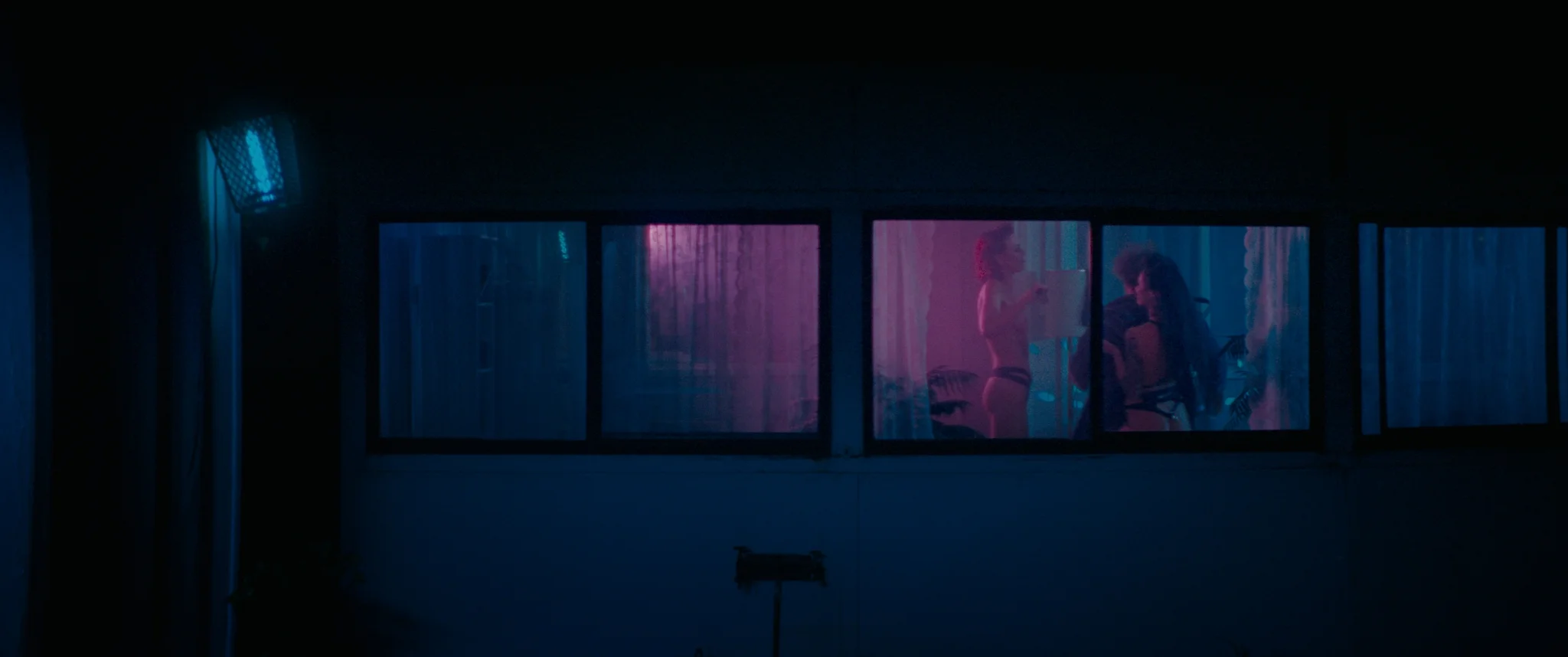 BLOOD_ORANGE_1.1.25.jpg
