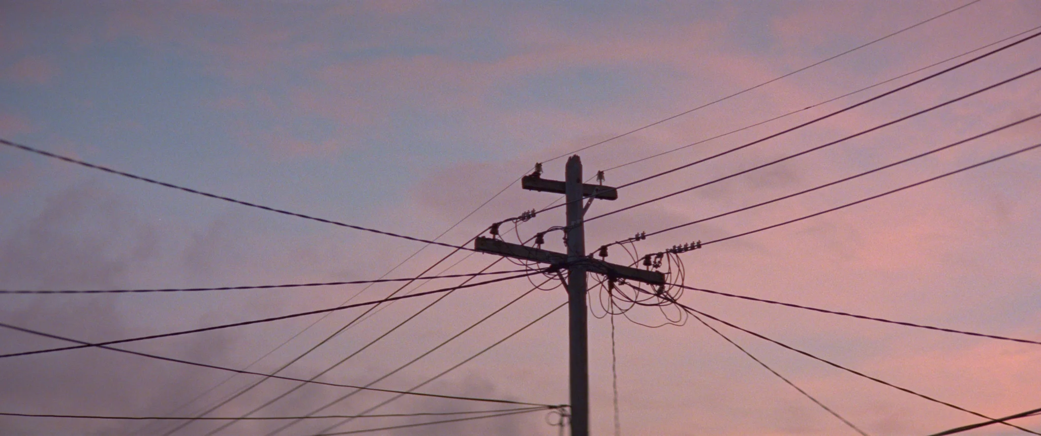 BLOOD_ORANGE_1.1.32.jpg