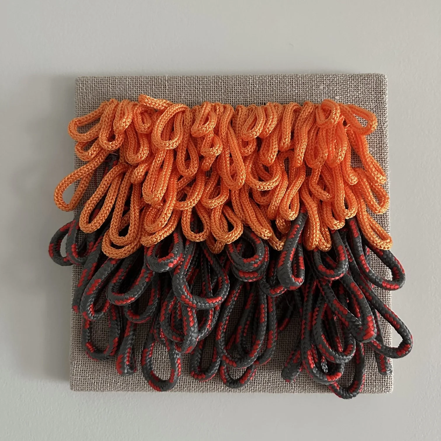  Poly rope on linen. 2025. 