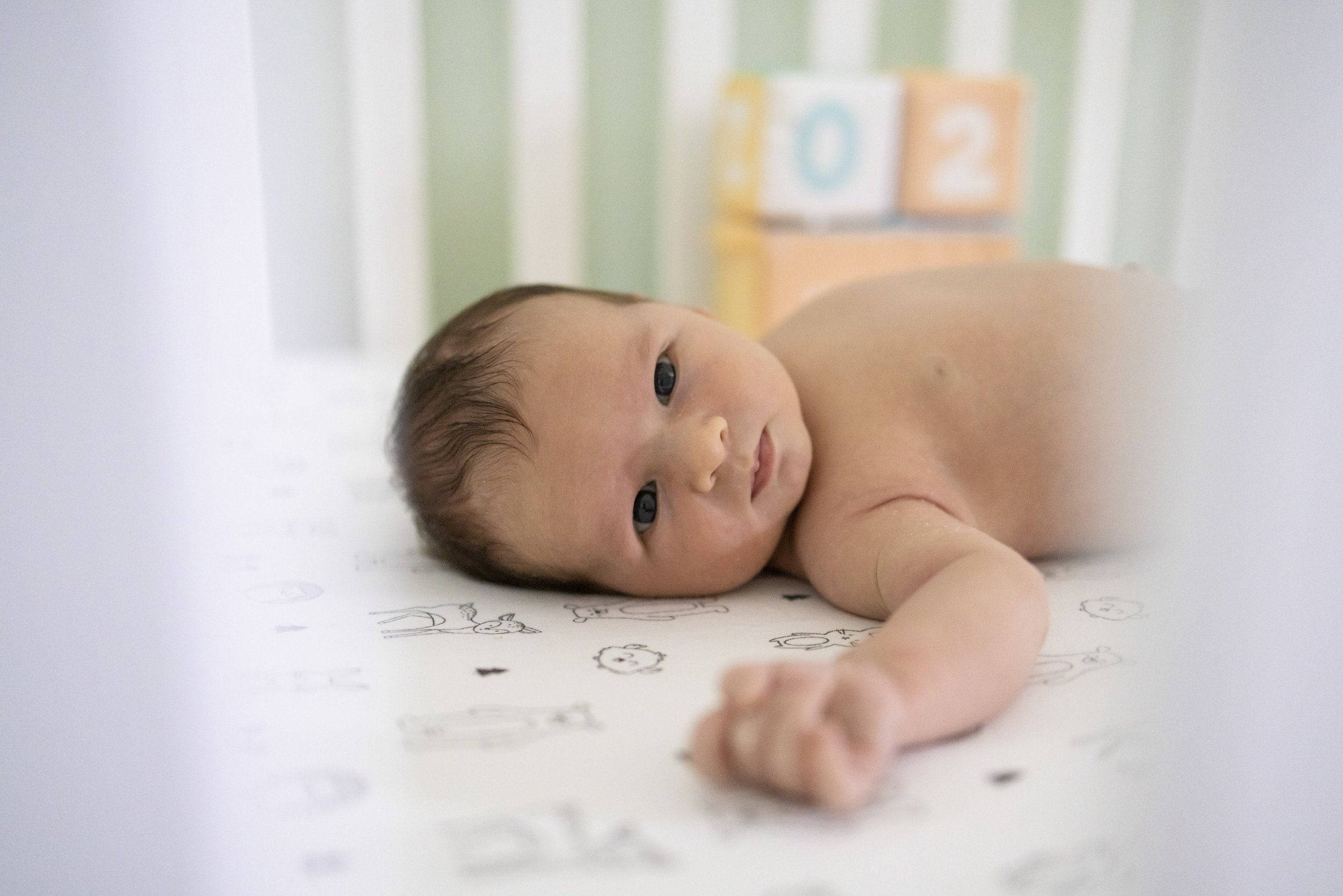 ash-smith-photo-studio-newborn01.jpg