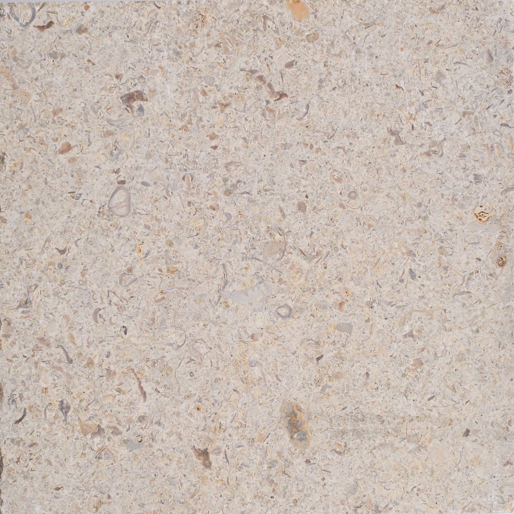 WALNUT SHELL
