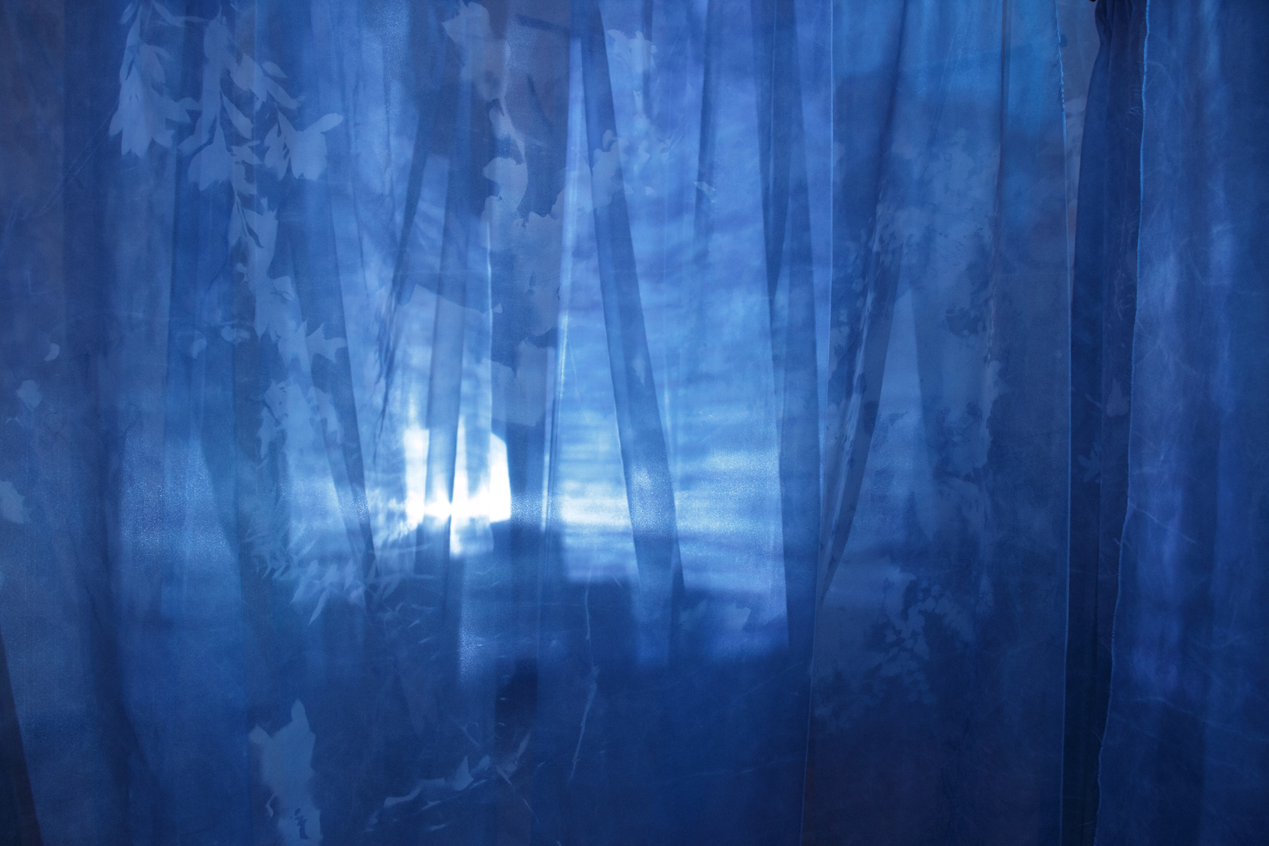 cyanotype_detail_1.jpg