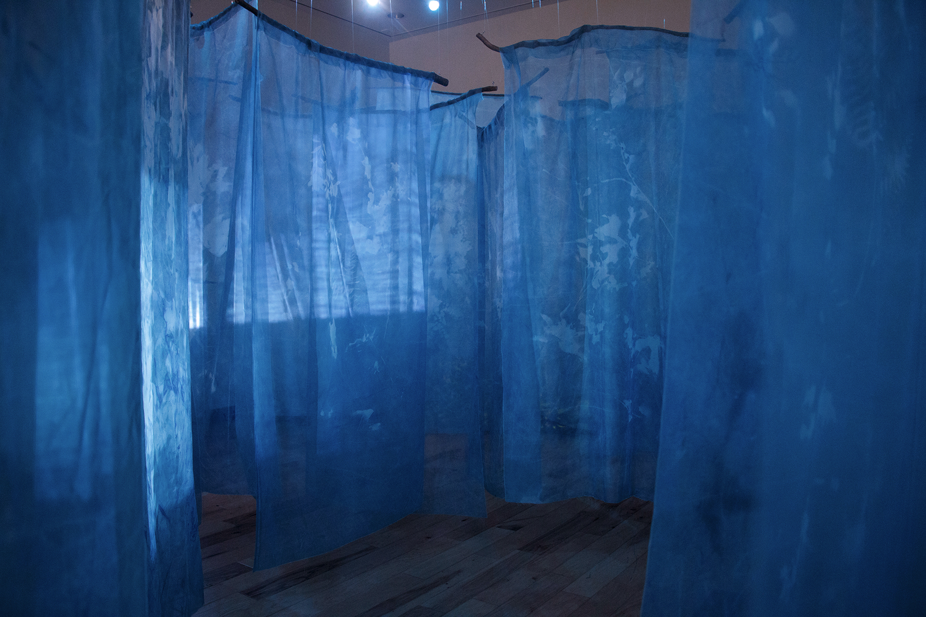 cyanotype_2.jpg