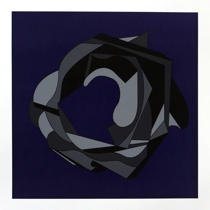 Untitled from the Endurance Diagram series, 2015. Screen print on cotton rag paper. 28 x 28"