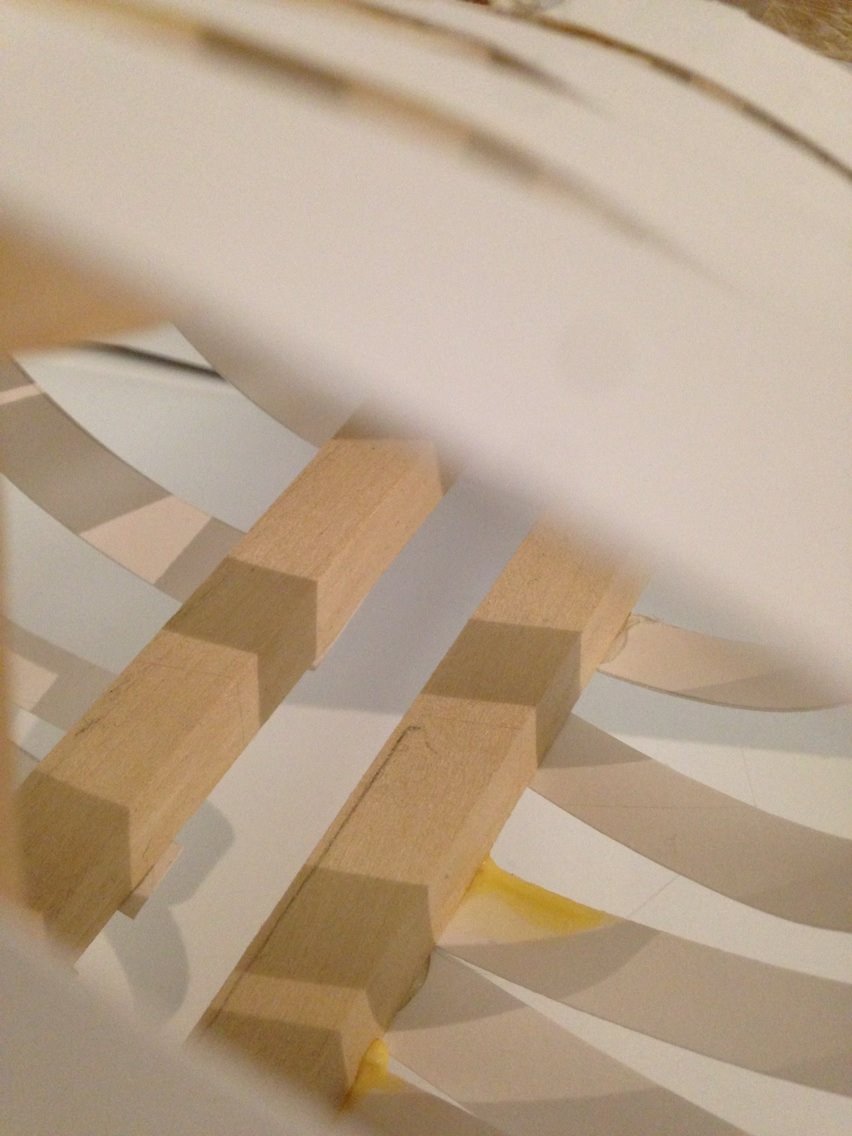 This inspired the idea of designing a space inspired by women and created especially for women to succeed. The concept model follows suit and is abstractly inspired by the contours of the feminine form. The wooden elements represents the “emphatic” element, while the “evolution” element is represented in the more curving paper elements of the model. *Concept model was a collaborative effort