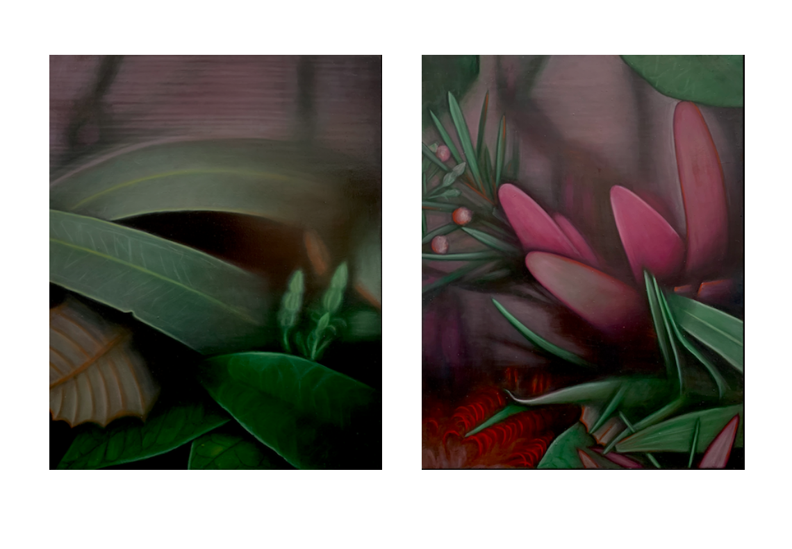  Series  ‘Colours Of The Chamelion’   Title  ‘Eu Kalyptos’ 1 &amp; 2  Oil on Canvas  92 x 71cm 