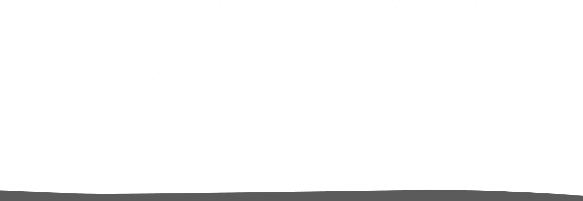 bg_white3.gif