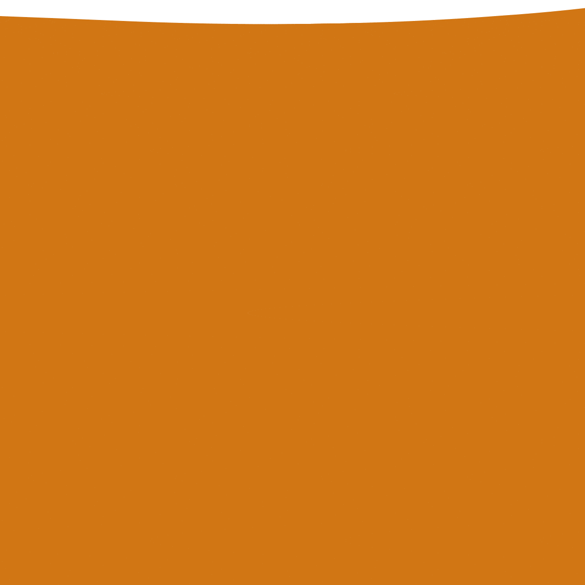 bg_orange9.gif
