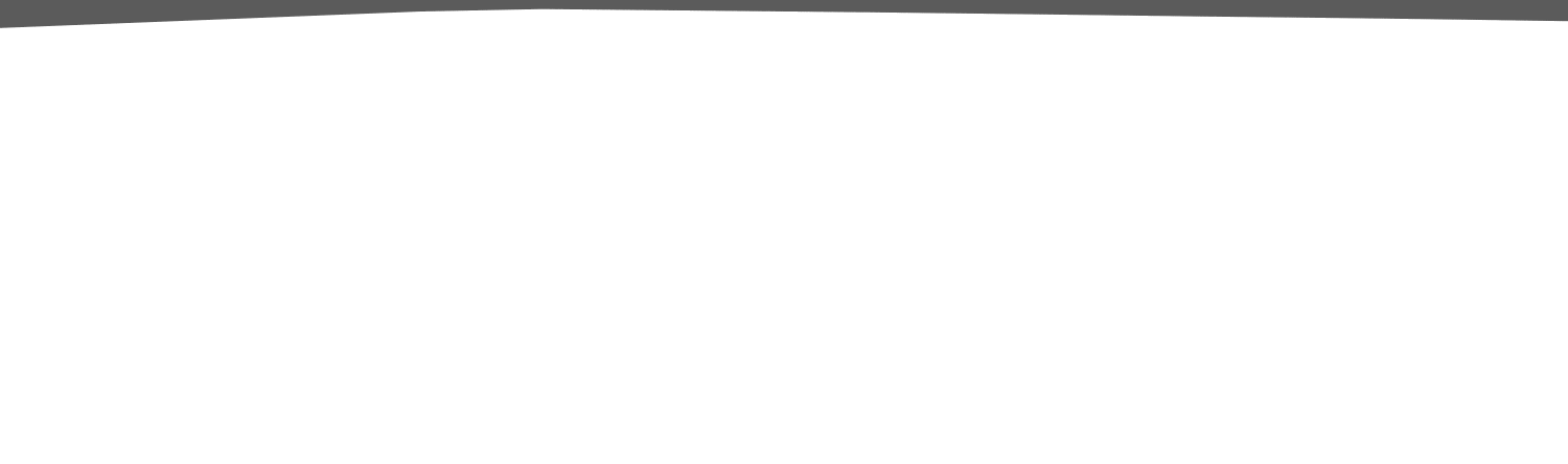 bg_white5.gif