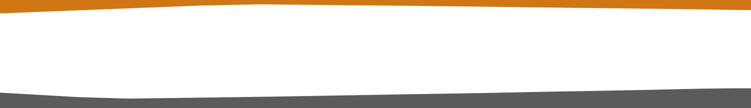 bg_orange12.gif
