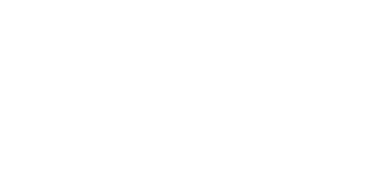 Vibe Collective