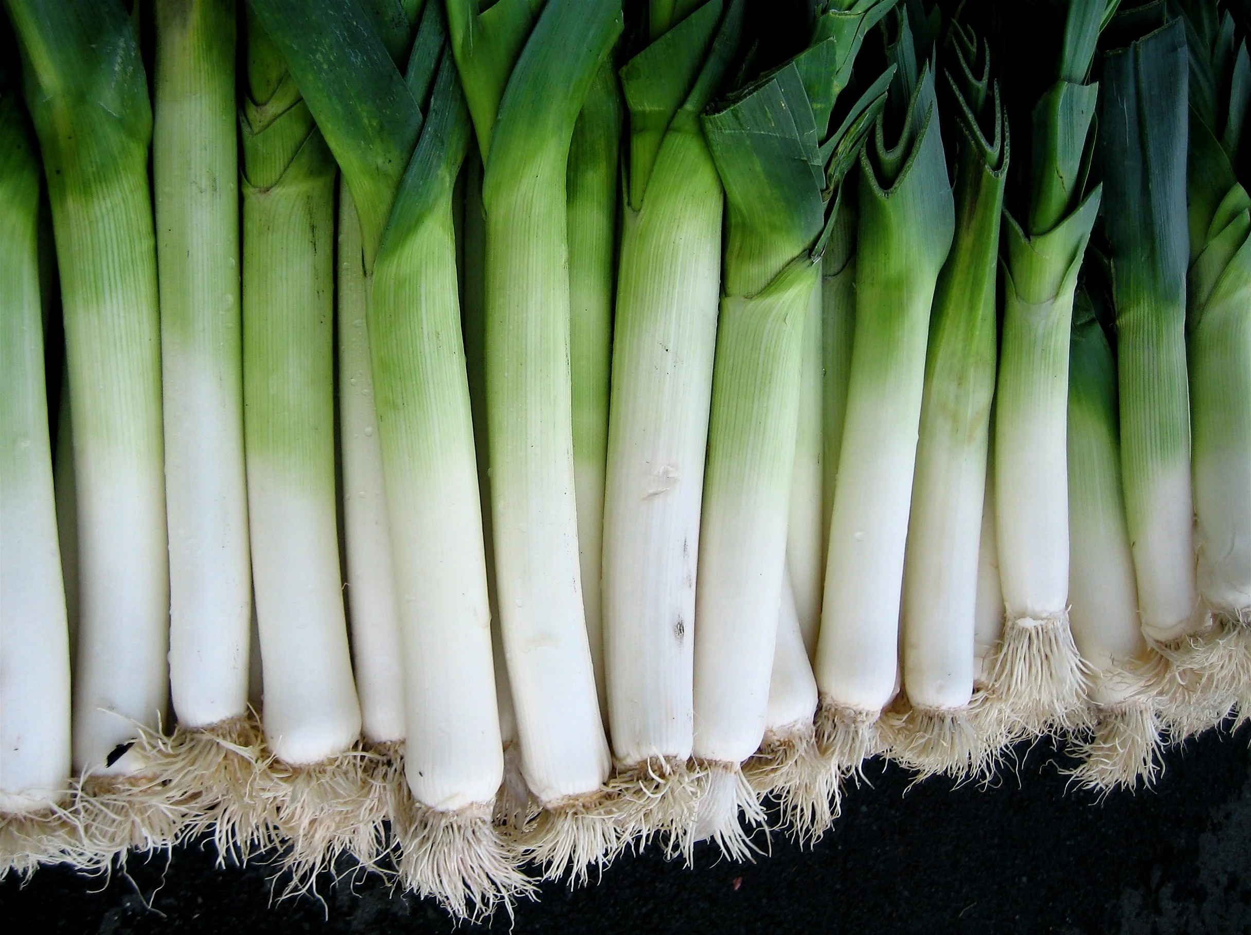 Leeks, Onions & False Nostalgia