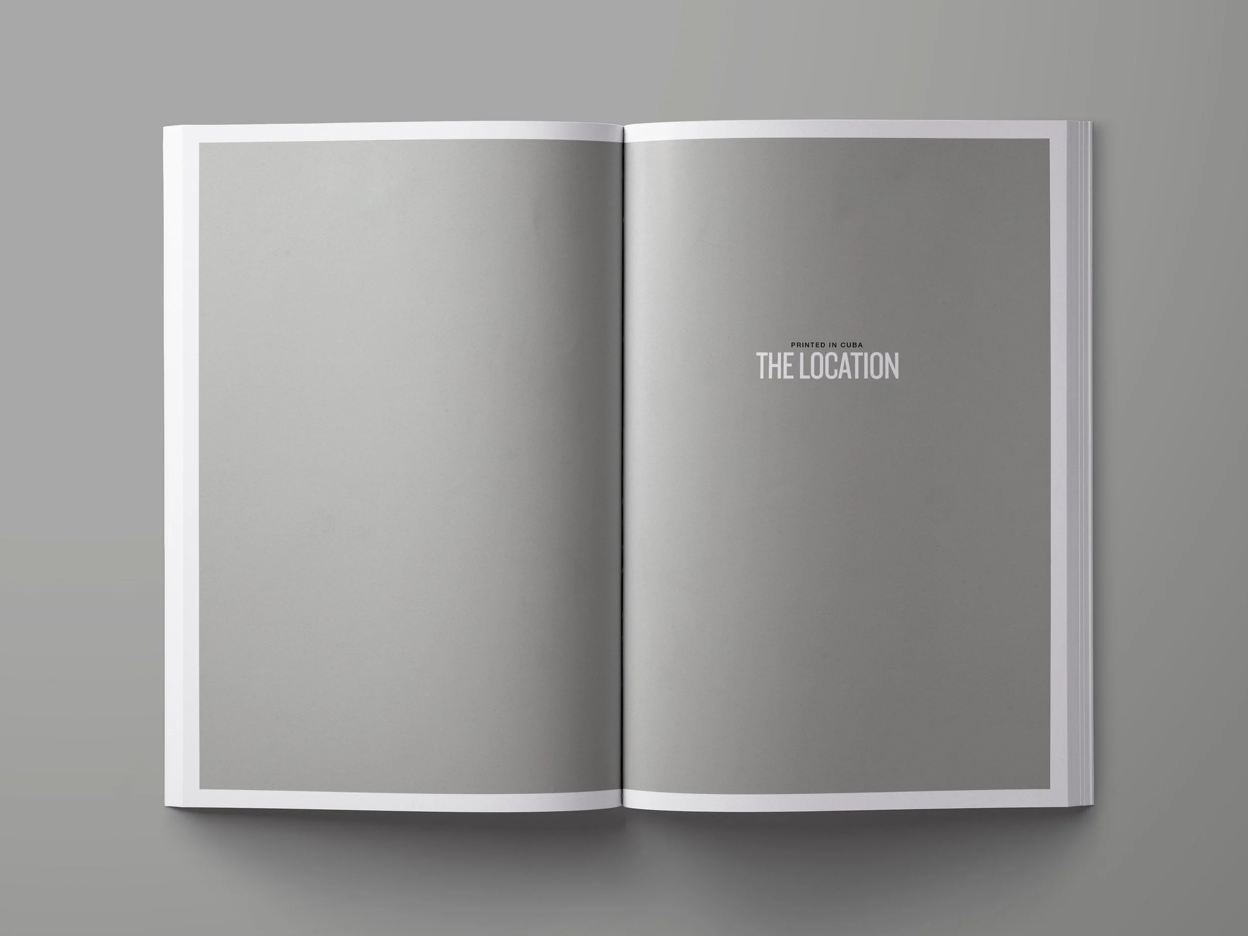 Mockup_Spread4.jpg