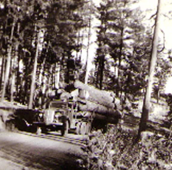 logtruck.jpg