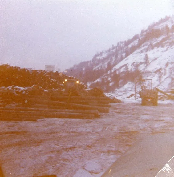 feb79log(1).jpg