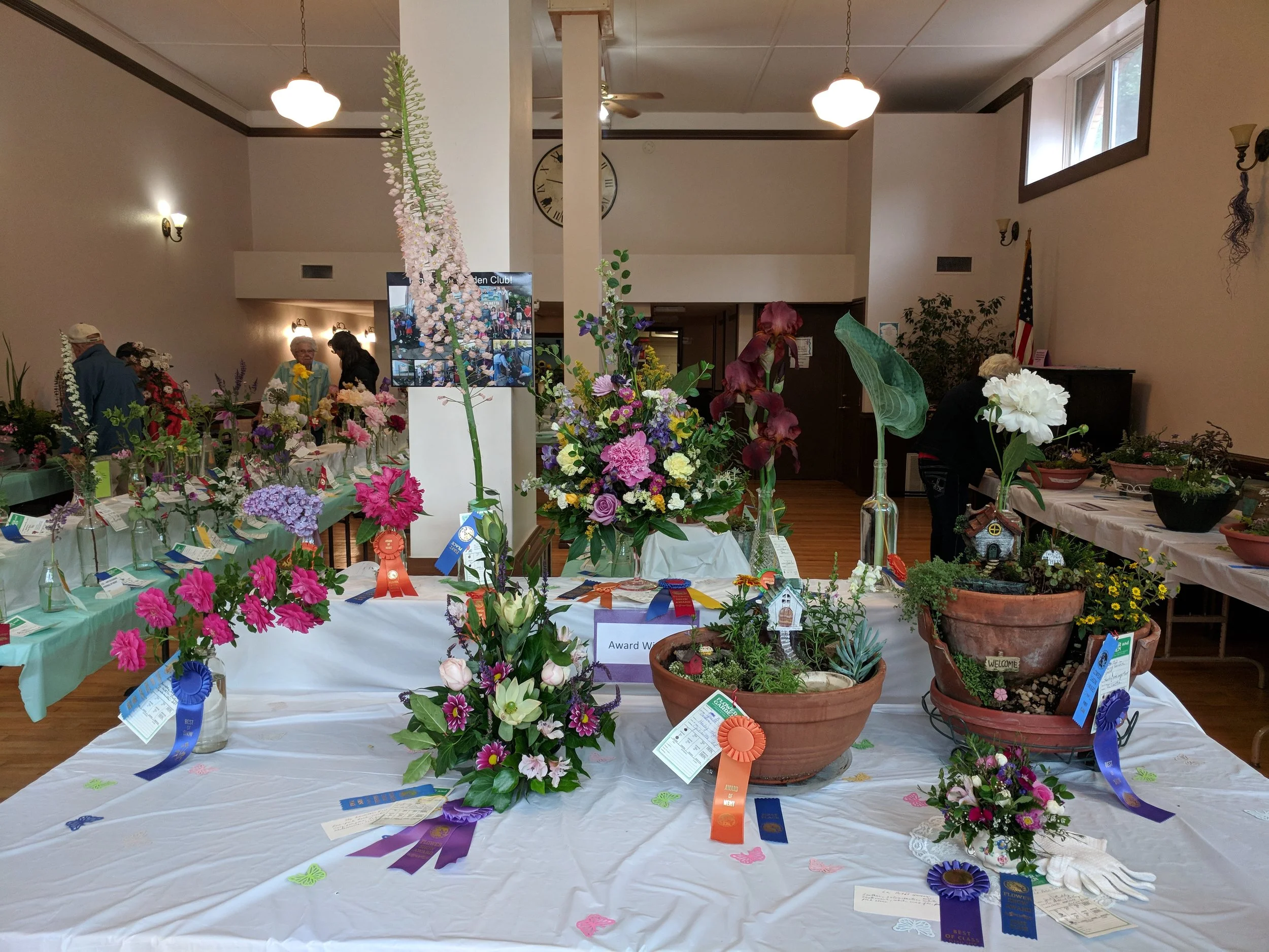 IMG_20180526_093636.jpg