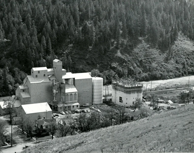 scan0292.jpg