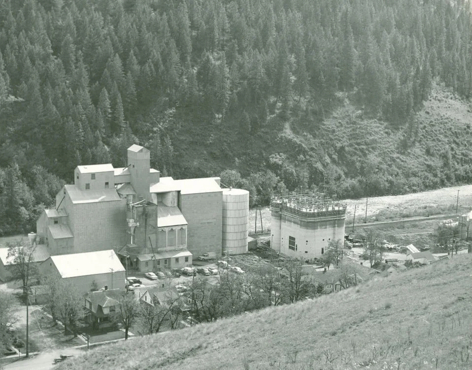 scan02921.jpg